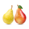 Menu icon